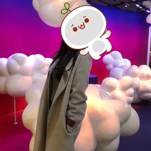 Aritzia Wilfred wool grey Jackets & Coats